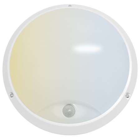 PIRES CWS - BH156794